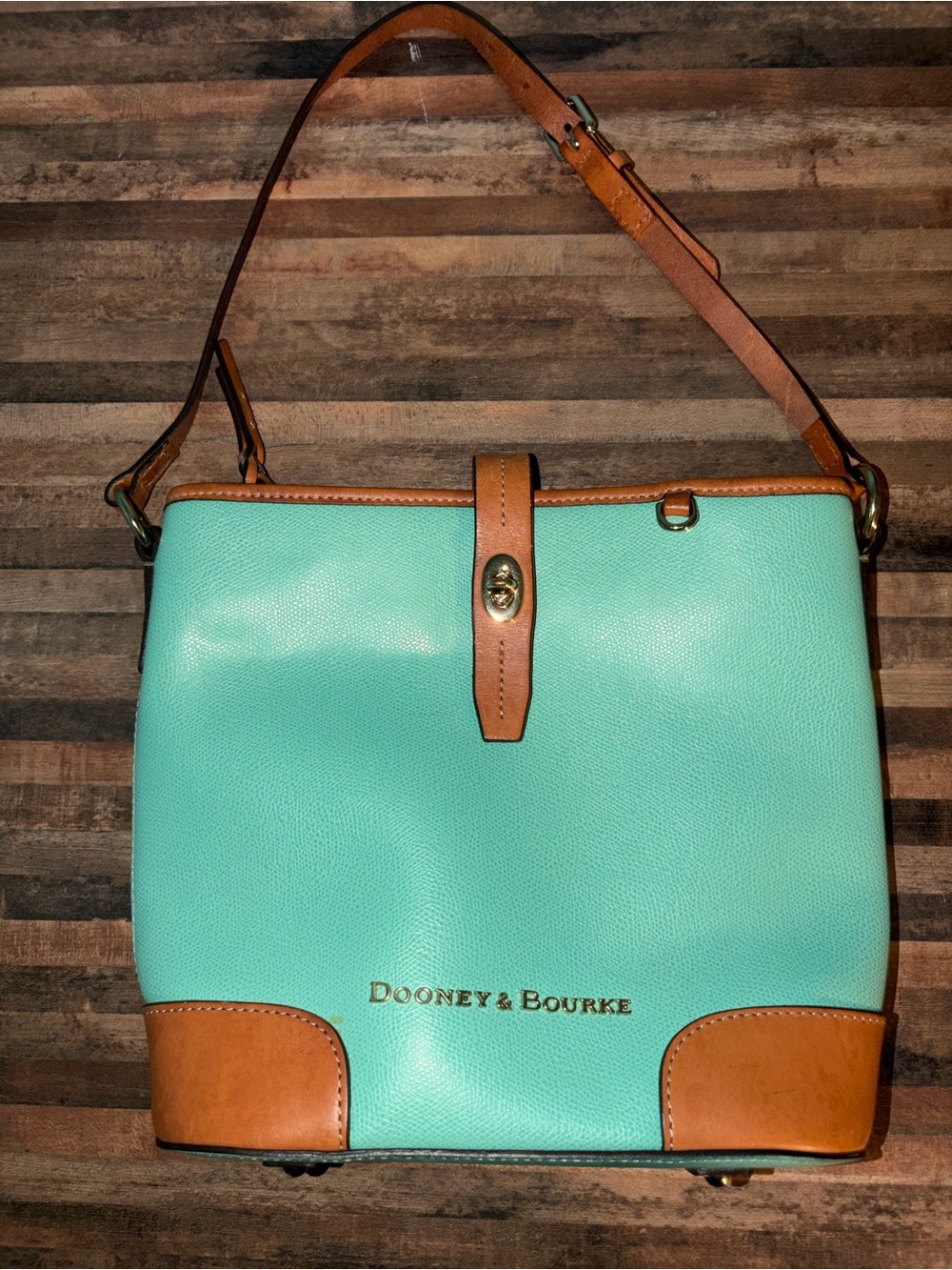 Dooney & Bourke Claremont Spearmint Shoulder Bag with Tan Trim Colorful Interior